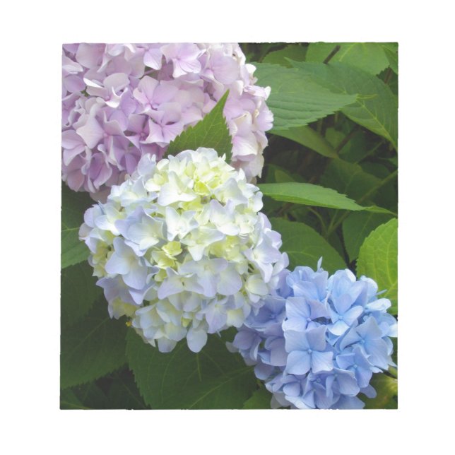 Hydrangeas Anteckningsblock (Framsida)
