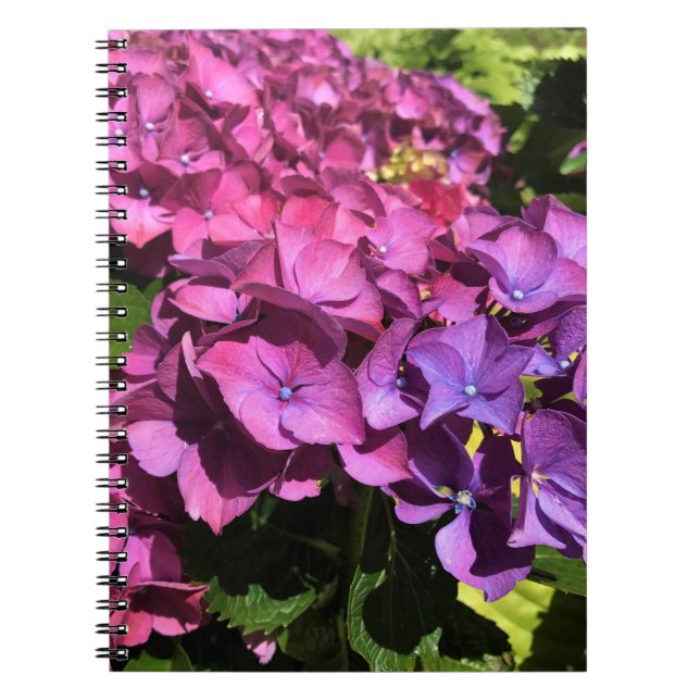 Hydrangeas Anteckningsbok (Framsidan)