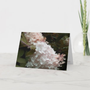 Hydrangeas Blommigt Birthday Kort