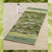 Hydrangeas Blommigt Celadon Grönt Blommar