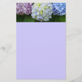 Hydrangeas Brevpapper