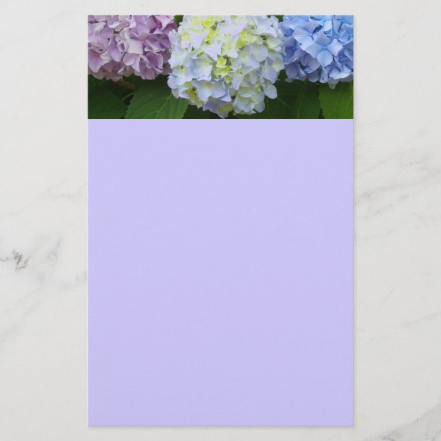 Hydrangeas Brevpapper (Framsida)