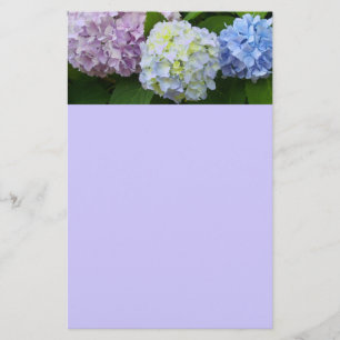 Hydrangeas Brevpapper