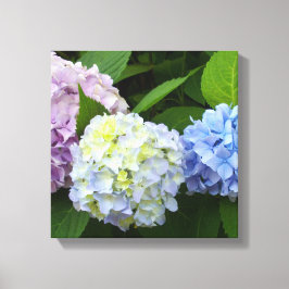 Hydrangeas Canvastryck