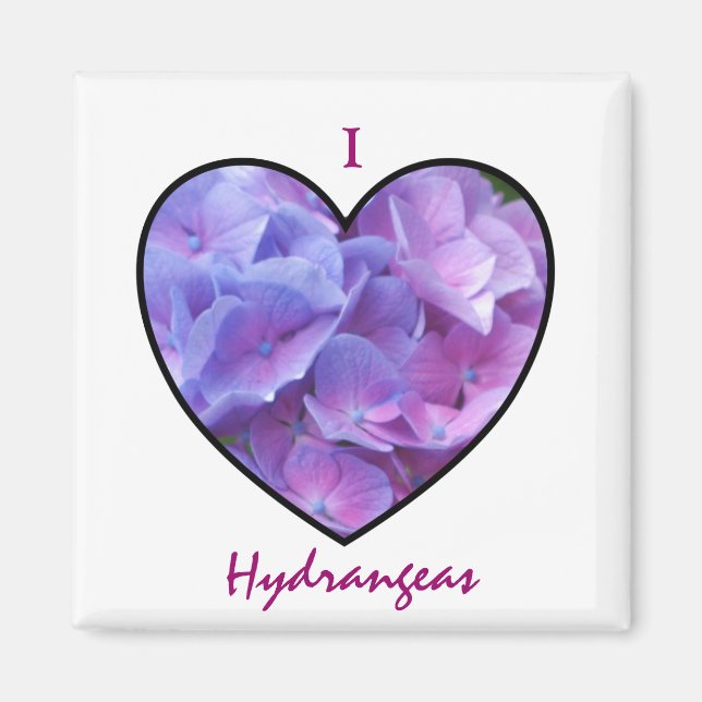 Hydrangeas Magnet (Framsidan)