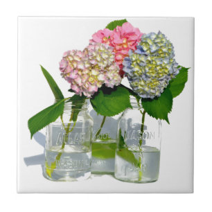 Hydrangeas och Mason burk Kakelplatta