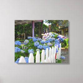 Hydrangeas och Picket Fence - Martha's Vineyard Canvastryck