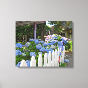 Hydrangeas och Picket Fence - Martha's Vineyard Canvastryck