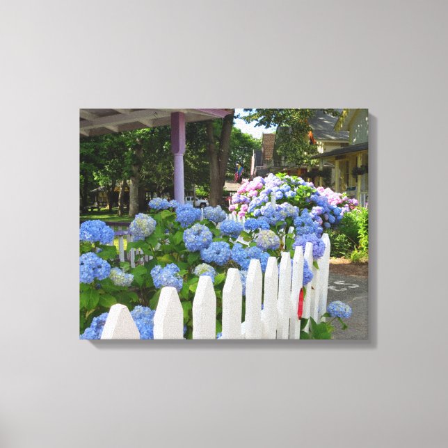 Hydrangeas och Picket Fence - Martha's Vineyard Canvastryck (Framsida)