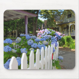 Hydrangeas och Picket Fence - Martha's Vineyard Musmatta