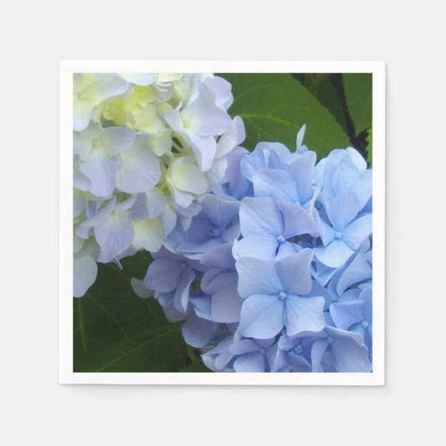 Hydrangeas Pappersservett (Framsidan)