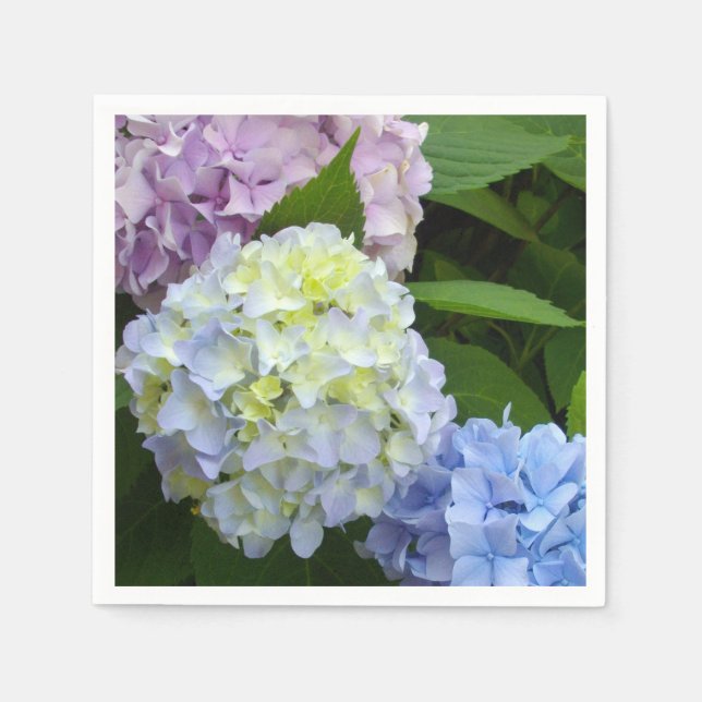 Hydrangeas Pappersservett (Framsidan)