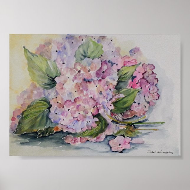 Hydrangeas Poster (Framsidan)