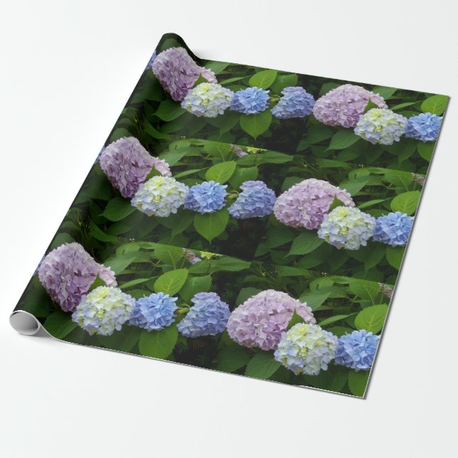 Hydrangeas Presentpapper (Utrullad)