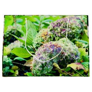 Hydrangeas presentsäck