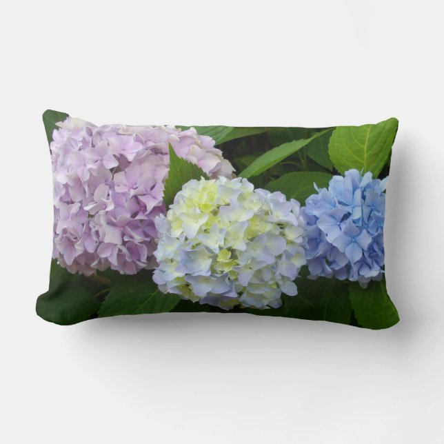 Hydrangeas, rosa blommor, blått lila blommor lumbarkudde (Framsida)