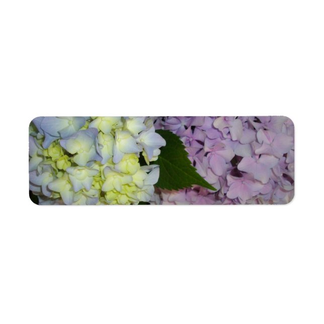 Hydrangeas rosa lila blue returadress etikett (Framsidan)