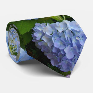 Hydrangeas Slips