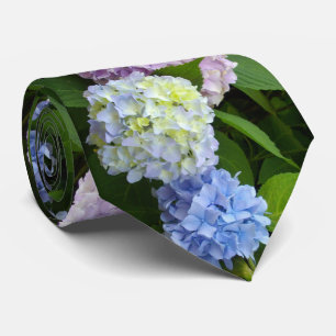 Hydrangeas Slips