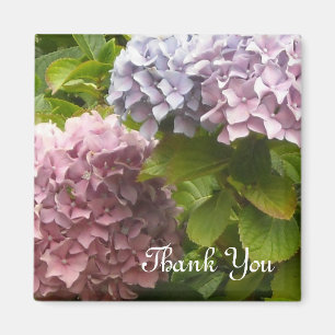 Hydrangeas Tack Magnet