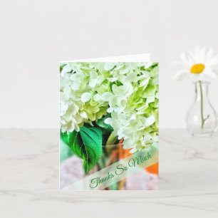 Hydrangeas - Tacken Lime Green Flowers Kort