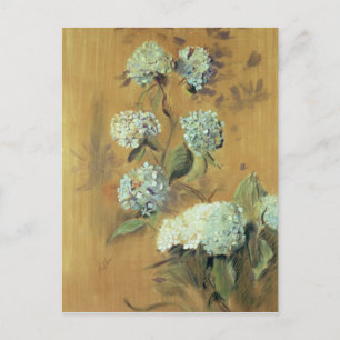 Hydrangeas Vykort