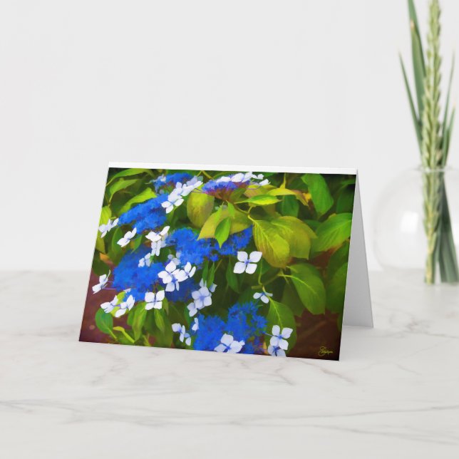 Hydrangeus Kort (Framsida)