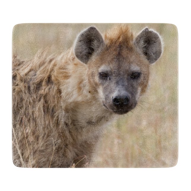 Hyena (Framsidan)