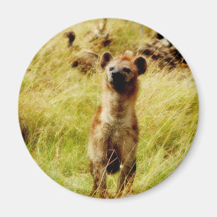 Hyena med magneten för wildebeest (gnu) magnet