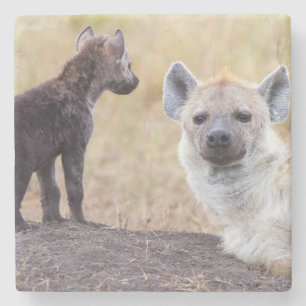 Hyena med unga en stenunderlägg