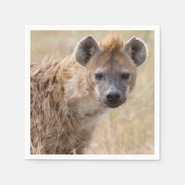 Hyena Pappersservett (Framsidan)