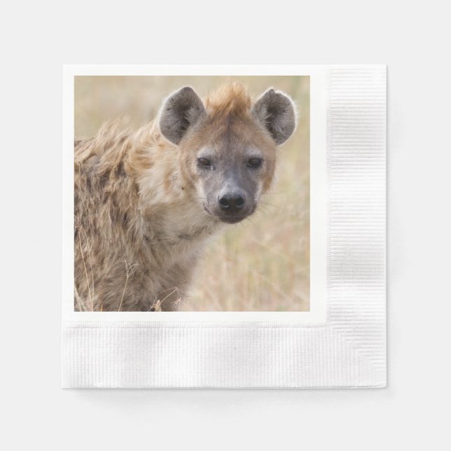 Hyena Pappersservett (Framsidan)