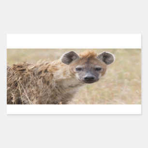 Hyena Rektangulärt Klistermärke