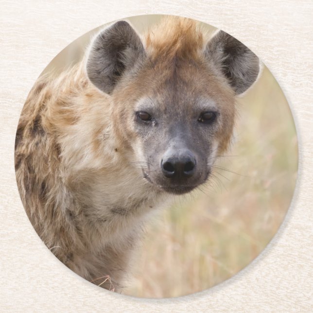 Hyena Underlägg Papper Rund (Framsidan)
