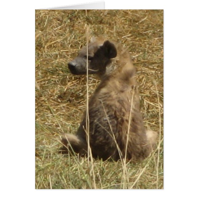 Hyena Valp Hälsningskort (Framsidan)