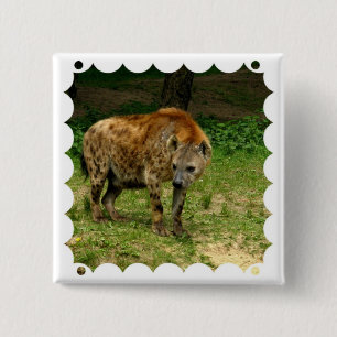 Hyenakringstrykandet kvadrerar klämmer fast knapp