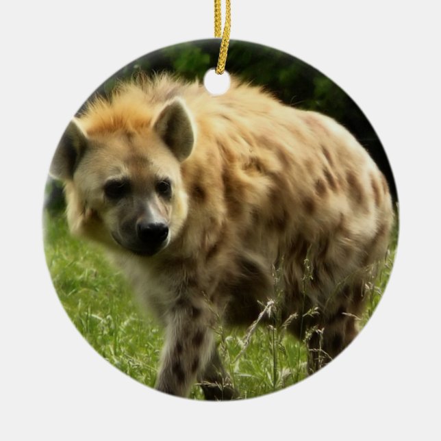 Hyenaprydnad Julgransprydnad Keramik (Framsidan)
