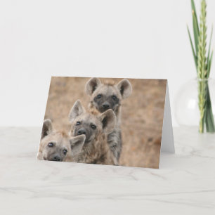 Hyenas Greeting Card Kort