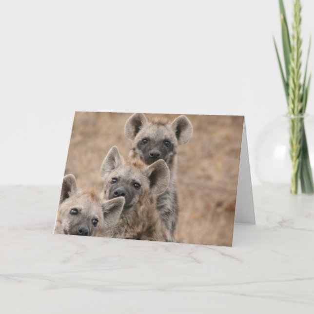 Hyenas Greeting Card Kort (Framsida)
