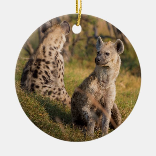 Hyenas Julgransprydnad Keramik (Framsidan)