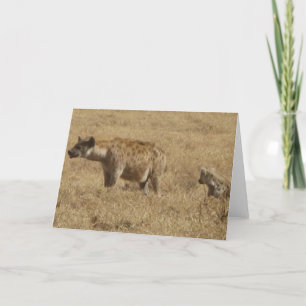 Hyenas Kort