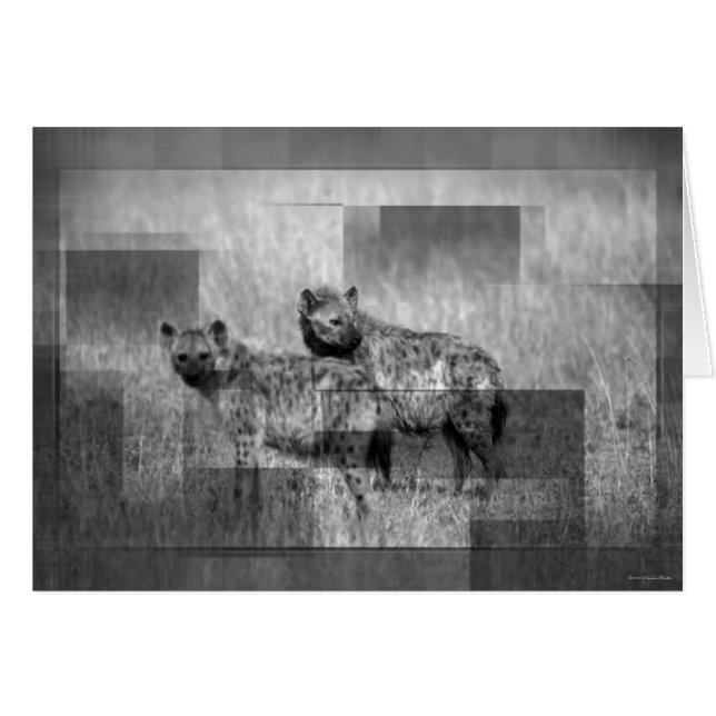 Hyenas-kort Hälsningskort (Framsidan Horizontal)