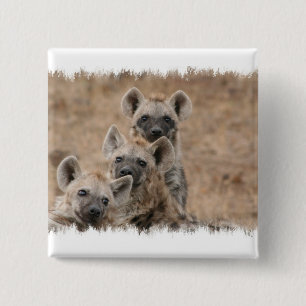 Hyenas kvadrerar klämmer fast knapp