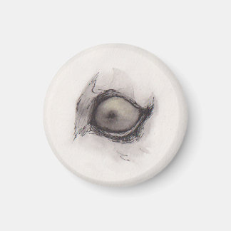 Hyenas öga – Blicksamlingen Magnet
