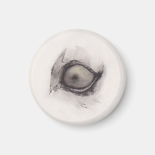 Hyenas öga – Blicksamlingen Magnet (Framsidan)
