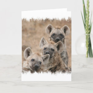 Hyenashälsningkort Kort