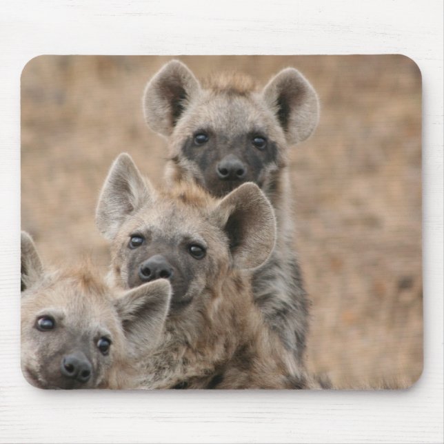 Hyenasmusen vadderar musmatta (Framsidan)