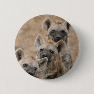 Hyenasrundan knäppas knapp