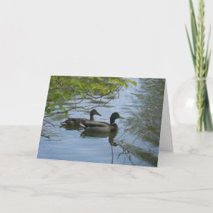 "Hyland May Mallards #1" - tackkort Kort