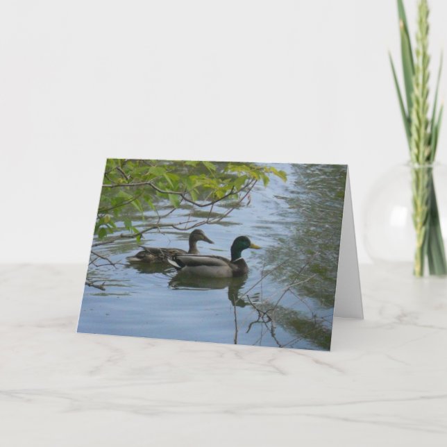 "Hyland May Mallards #1" - tackkort Kort (Framsida)